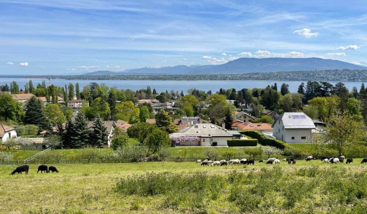 Données m2 immobilier Pregny-Chambésy